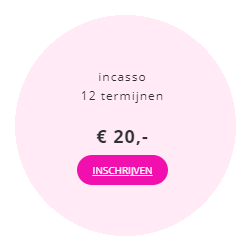 SelfPleasure_termijnen_ SelfPleasure in termijnen betalen, 12 x € 20